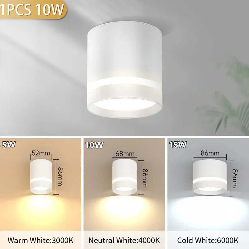 Luminaire Spot / SURTOUT