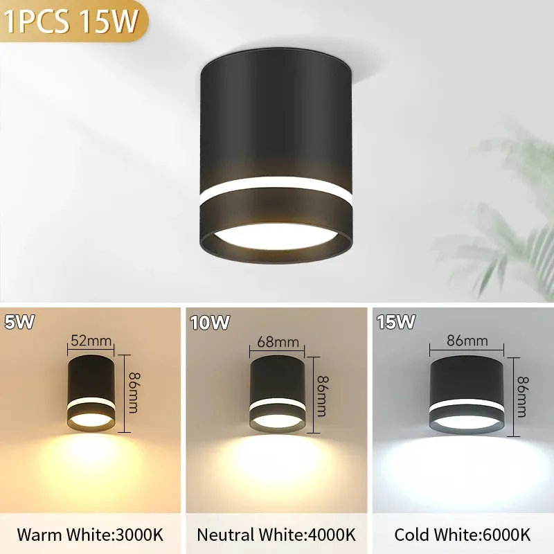 Luminaire Spot / SURTOUT