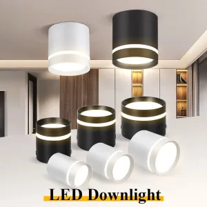 Luminaire Spot / SURTOUT