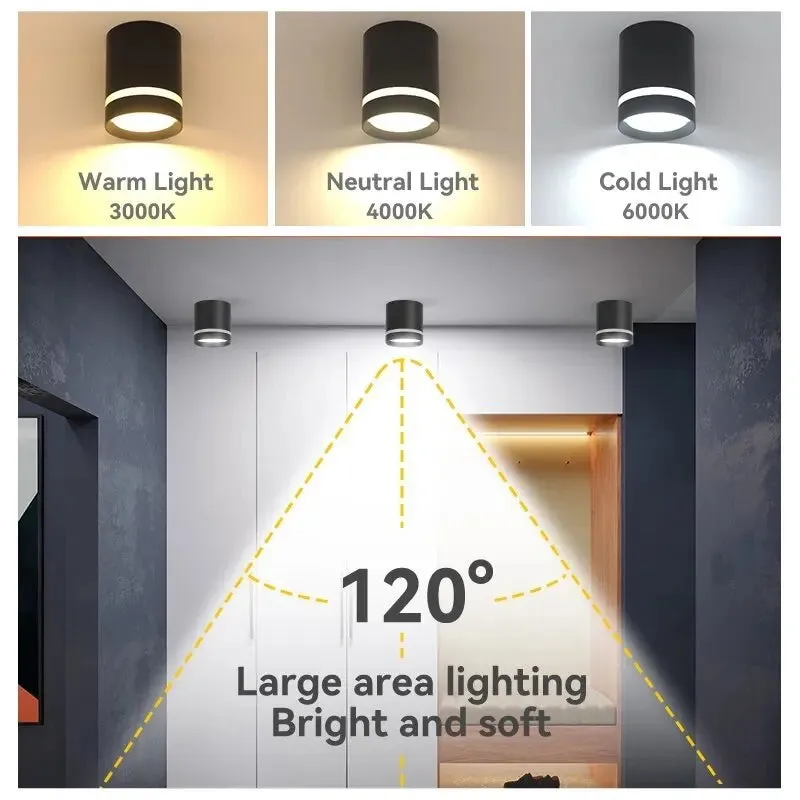 Luminaire Spot / SURTOUT