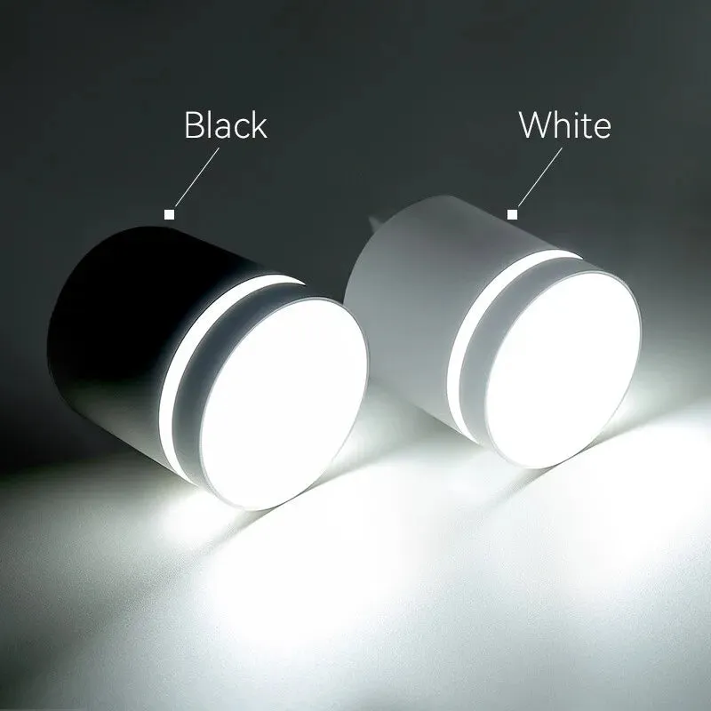Luminaire Spot / SURTOUT