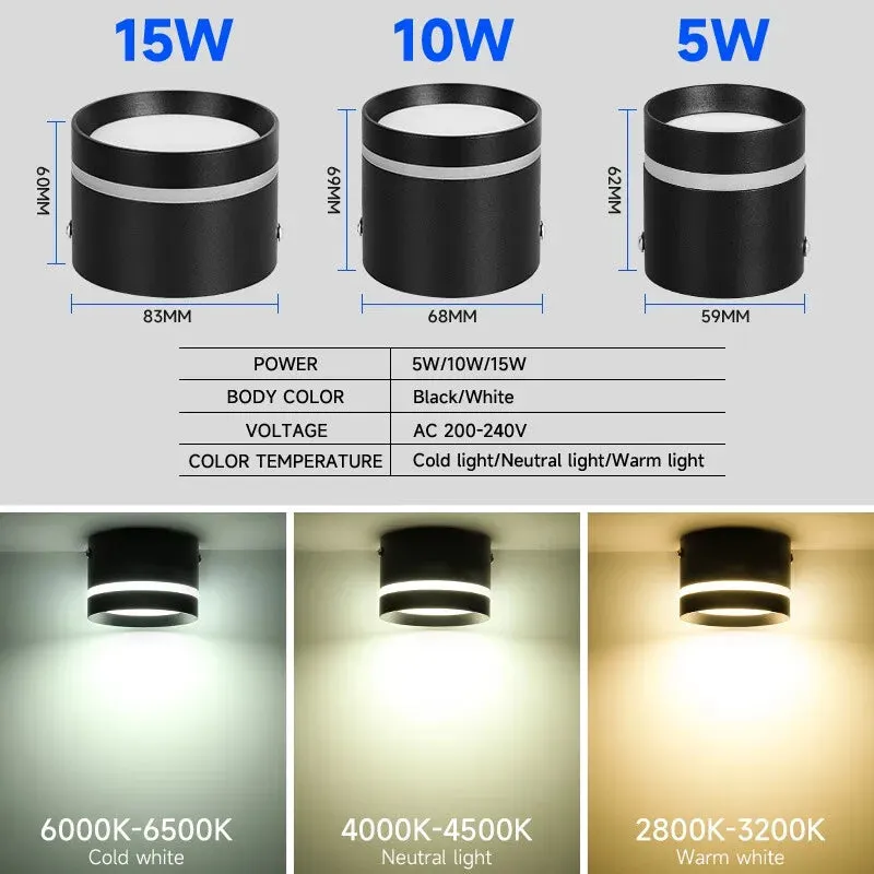 Luminaire Spot / SURTOUT